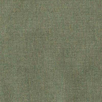Sunbrella Ambrose Fern 40608-0010 swatch