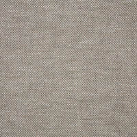 Sunbrella Nurture Shale 42102-0004 swatch
