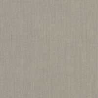 Sunbrella Spectrum Dove 48032-0000 swatch