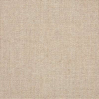 Sunbrella Bliss Sand 48135-0002 swatch