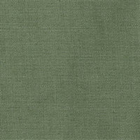 Sunbrella Bliss Aloe 48135-0017 swatch