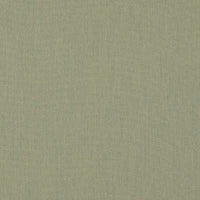 Sunbrella Canvas Almond SJA 3983 137 swatch